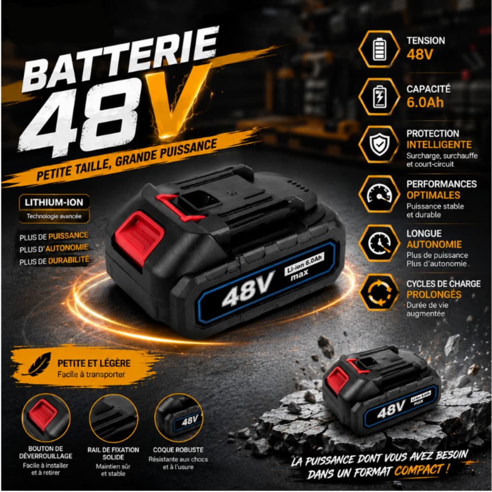 BATTERIE 48V 6.0AH 