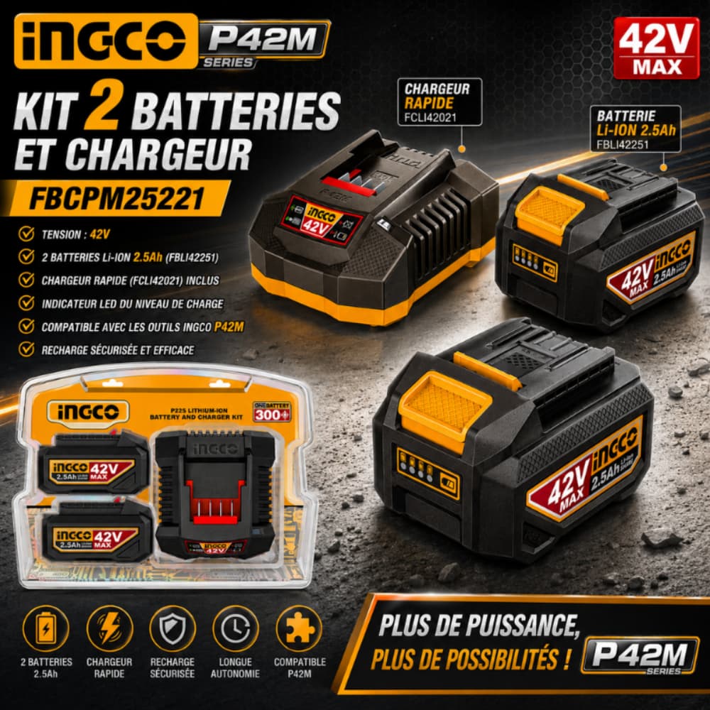 KIT 2 BATTERIES ET CHARGEUR INGCO 42V FBCPM25221 