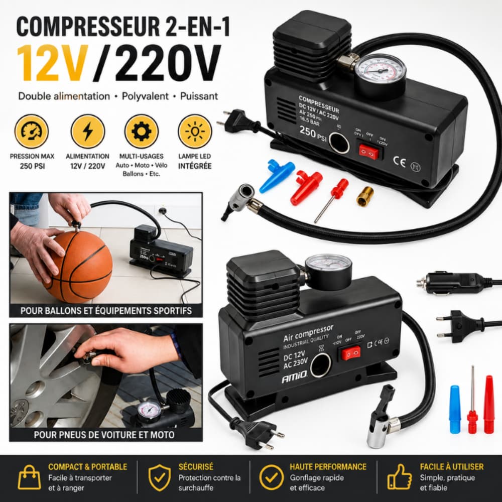 COMPRESSEUR 2-EN-1 12V/220V  1MMT9-1
