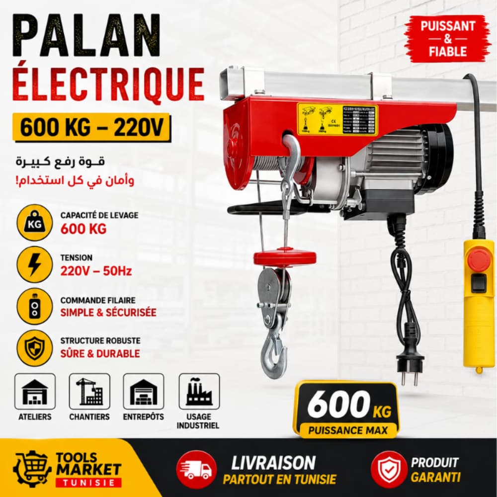 PALAN ÉLECTRIQUE 600KG 1MMT20-1