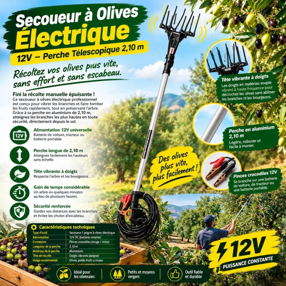 SECOUEUR À OLIVES ÉLECTRIQUE 12V – PERCHE TÉLESCOPIQUE 2,10 M SH48-1